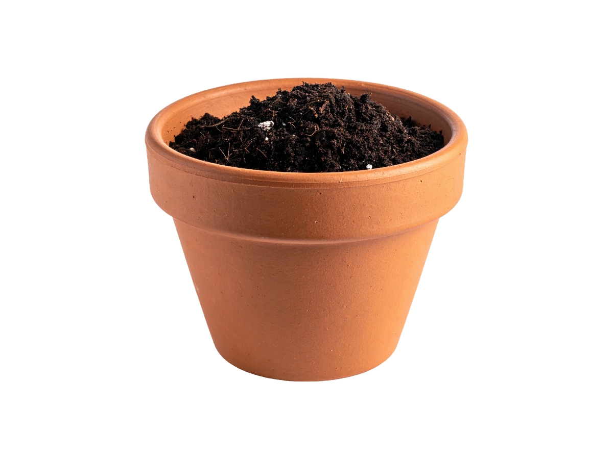 Planters & Pots
